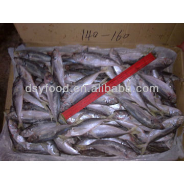 Größeres Bild anzeigen Best Price Whole Round Gefrorene Pacific Horse Mackerel